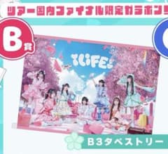 iLife ガラポン B賞 タペストリーのサムネイル