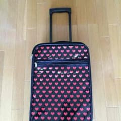 りぃりぃ様専用   キャリーバッグのサムネイル