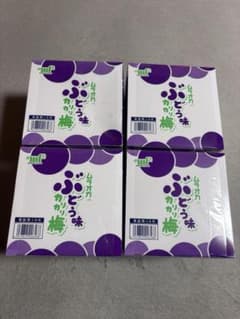 カリカリ梅 ぶどう味 20個入り4箱セットのサムネイル