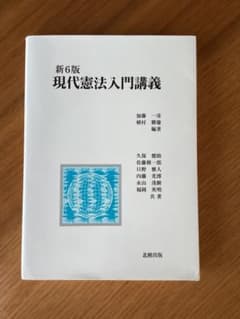 新6版　現代憲法入門講義のサムネイル
