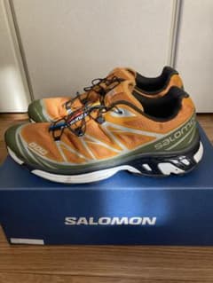Salomon and Wander XT-6 28cm