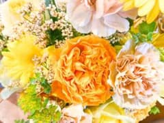 よっちゃんさん専用のサムネイル