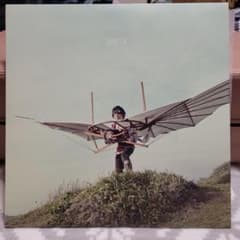 スピッツ 小さな生き物 LP アナログレコード Spitz - メルカリ