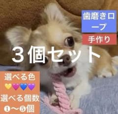 ✨犬用ロープトイ 3個セット 犬 おもちゃ 小型犬 デンタルのサムネイル