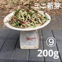 ⑨ 4/4 行者ニンニク ミニ新芽200gのサムネイル