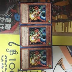ドロール&ロックバードのサムネイル
