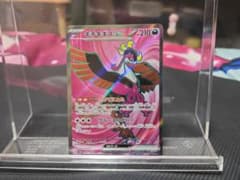 キチキギスex SR SV6a ナイトワンダラー 081/064のサムネイル