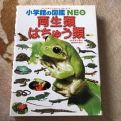 両生類・はちゅう類のサムネイル