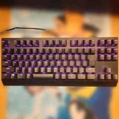 【状態：△】Razer BlackWidow V3 TKL 黄軸 JISのサムネイル
