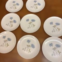 WEDGWOOD Ice Rose Plate Set of 8