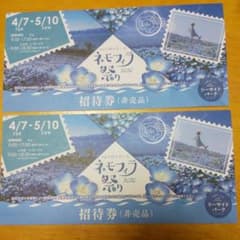 ネモフィラ祭り券のサムネイル