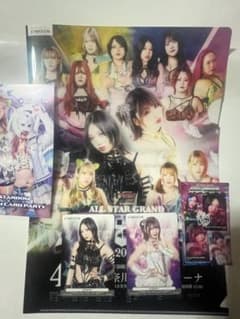 スターダム2025 4/27横浜アリーナ大会 上谷沙也、中野たむカードほか