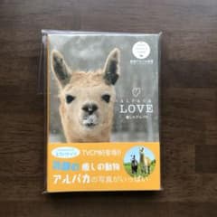 Alpaca love 癒しのアルパカのサムネイル