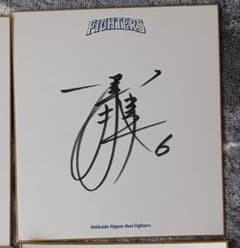北海道日本ハムファイターズ ミスターファイターズ田中幸雄さん直筆