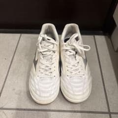 Mizuno モナルシーダネオ　ホワイト/グレー24.0のサムネイル
