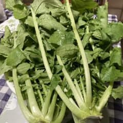 採れたて！新鮮！大根葉のサムネイル
