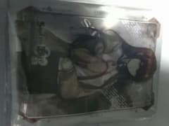 STEINS;GATE　牧瀬紅莉栖　カードスリーブのサムネイル