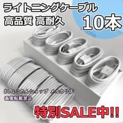 ipad air じゅうでんき 純正 対応 正規品 同等 ケーブル 10本