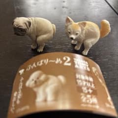 ふんばりーぬ2 パグ　チワワのサムネイル
