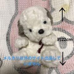 オリエンタルトーイ　うめ吉　赤ちゃん　ぬいぐるみ　中古品　② m88912412997_1.jpg?1767252561