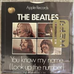 THE BEATLES You Know My Name レコードのサムネイル