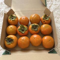京丹後♡完全無農薬柿♡はいるだけ!のサムネイル