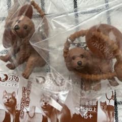 ふんばり〜ぬ どこでもふんばり〜ぬ トイプー 2個セットのサムネイル