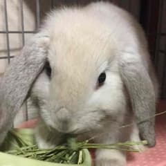 ♡spring♡様専用のサムネイル