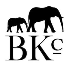 the Brooklyn circus Tシャツのサムネイル