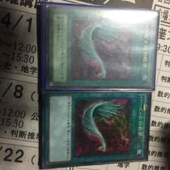 ハーピィの羽箒！のサムネイル