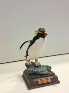 カプセルト イいきもん イワトビペンギン ネイチャーテクニカラー 南極