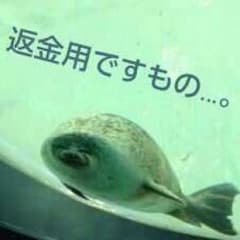 返金用です。のサムネイル