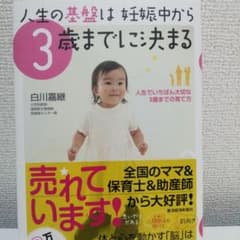 人生の基盤は妊娠中から3歳までに決まる : 人生でいちばん大切な3歳までの育て方のサムネイル