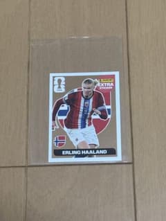 Panini FIFA World Cup 2026 ハーランドのサムネイル