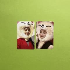 Stray Kids SKZOO トレカ アイエン I.N