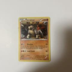 テラキオンポケモンカード 海外品のサムネイル