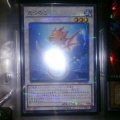 遊戯王 たつのこ ノーパラのサムネイル