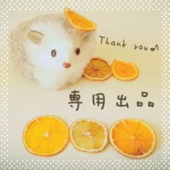 pan様専用のサムネイル