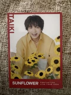 佐藤大樹 TAIKI SUNFLOWER 2026 シクレ - メルカリ