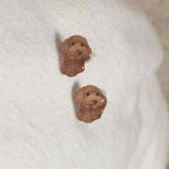 犬 ピアス 値下げしましたのサムネイル