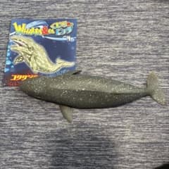 DeAgostini WHALES&Co. ビッグ コククジラ