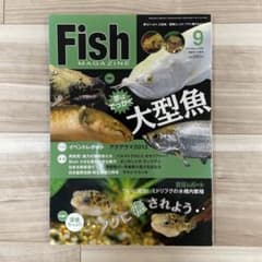 Fish MAGAZINE 2013年9月号 熱帯魚 大型魚・フグ特集のサムネイル