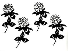 切り絵　シロツメクサ　4本のサムネイル