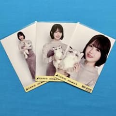 乃木坂46 筒井あやめ まとめ売り コンプ 筒井あやめ 【匿名配送】エレガント コンプ 乃木坂46 生写真 March