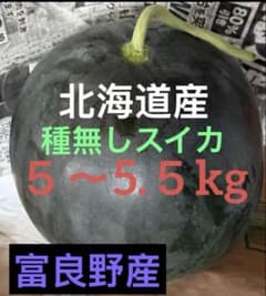 北海道富良野産 種無しスイカ 5〜5.5kg 2026年最後のサムネイル