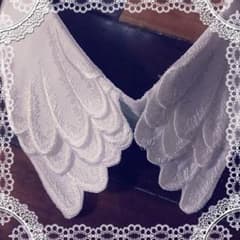 新品♡swanプリンセス♡付け襟♡のサムネイル
