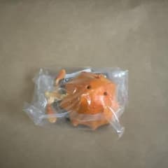 深海のひみつ　ディープアドベンチャー　ガチャ　メンダコのサムネイル