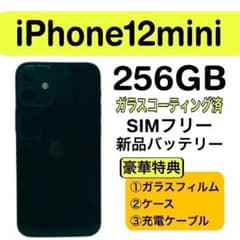⭐️新品バッテリー⭐️ iPhone 12mini 256GB SIMフリー 黒 - メルカリ