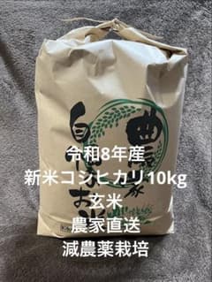令和8年産 新米コシヒカリ　玄米10kg 農家直送　減農薬栽培のサムネイル