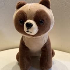 タヌキ　ぬいぐるみのサムネイル